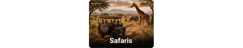 Safaris